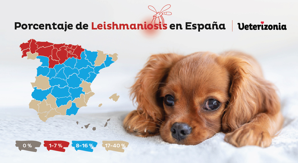 Leishmaniosis perros en España