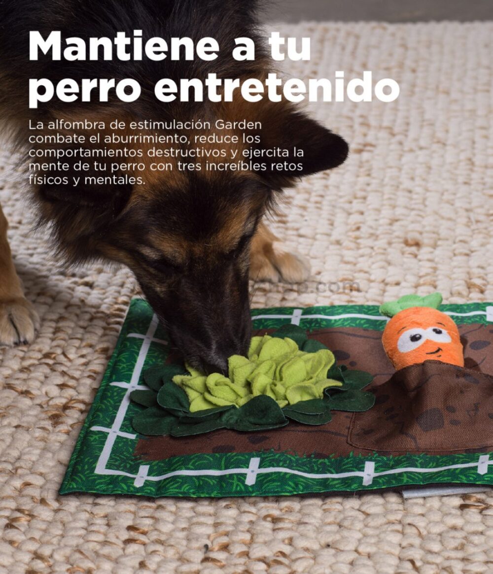 Alfombra-olfativa-para-premios-jardin-veterizoniashop-2
