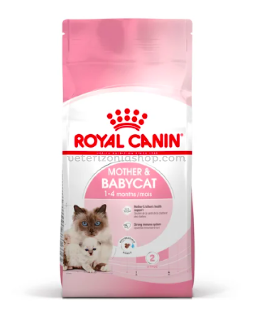 Alimento seco para mamá y gatitos Royal Canin-veterizoniashop