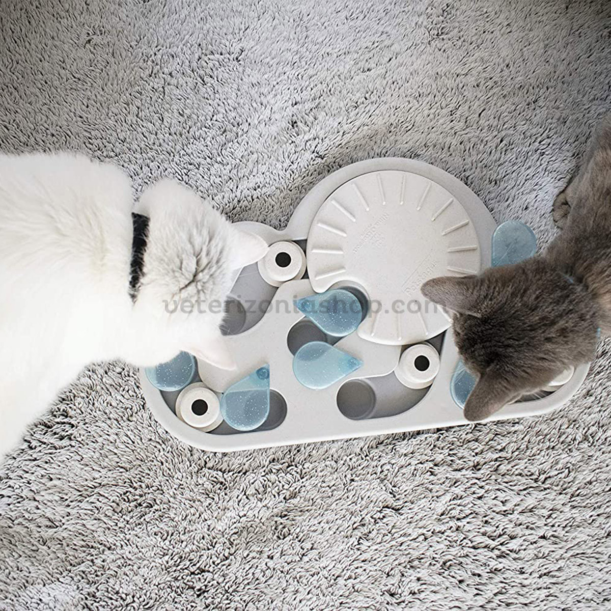 Juguetes para gatitos Veterizonia