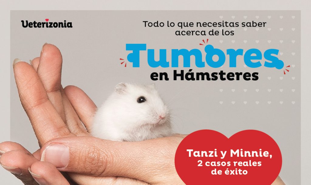 Tumores en Hamsteres