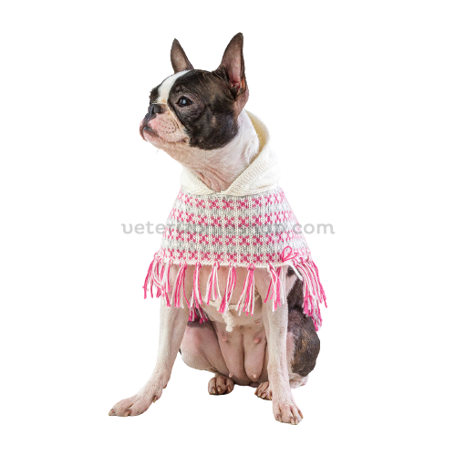 Poncho para perros Sofia Alpaca rosa-2