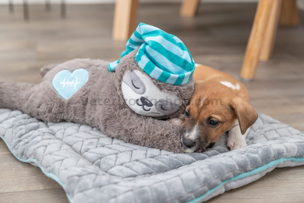 peluche-para-cachorro-perro-latido-corazón-veterizoniashop-8