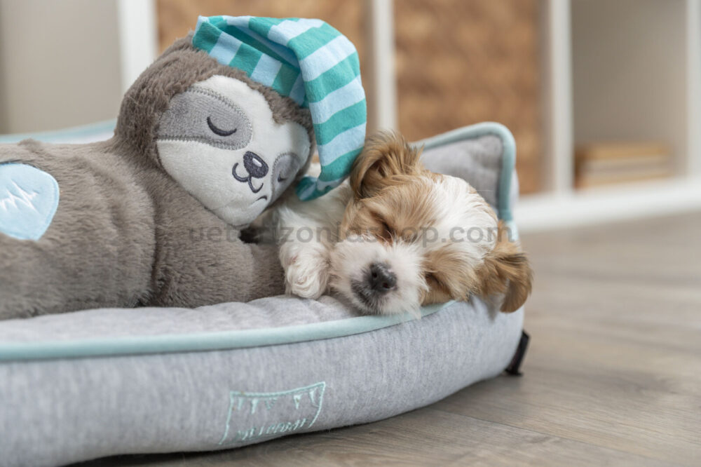 peluche-para-cachorro-perro-latido-corazón-veterizoniashop-9