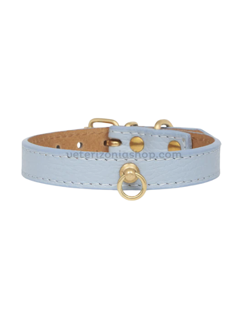 collar-perro-pequeno-juno-toy-azul-cielo-veterizonia-1