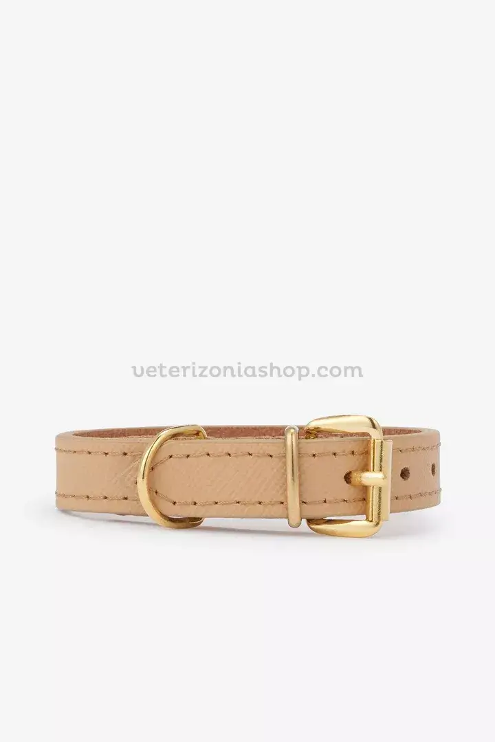 collar-perro-pequeno-juno-toy-beige-veterizonia