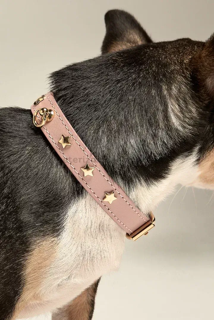 collar-perro-pequeno-nara-toy-rosa-veterizonia-5