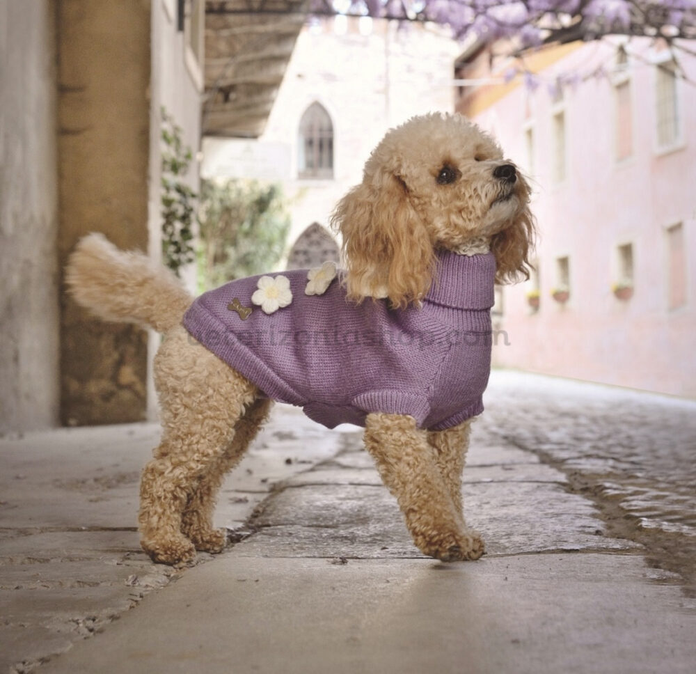 jersey-sueter-para-perro-viola