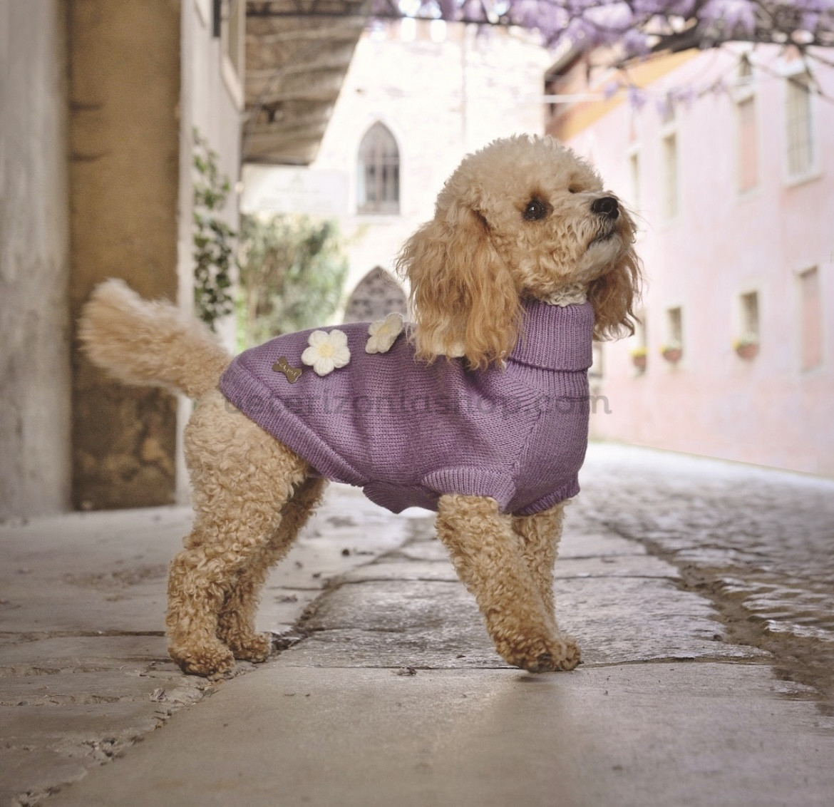 jersey-sueter-para-perro-viola