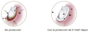 ventajas-de-usar-x-mile-perros-veterizonia