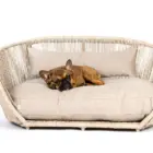 cama de diseño para perros grandes