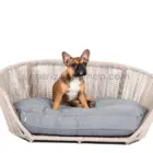 Cama de diseño para perros cojín gris