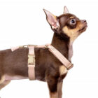 Arnés Ajustable Straps Kaya Rosa – Milk&Pepper