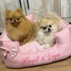 Dos pomeranias sobre cama rosa premium para perros