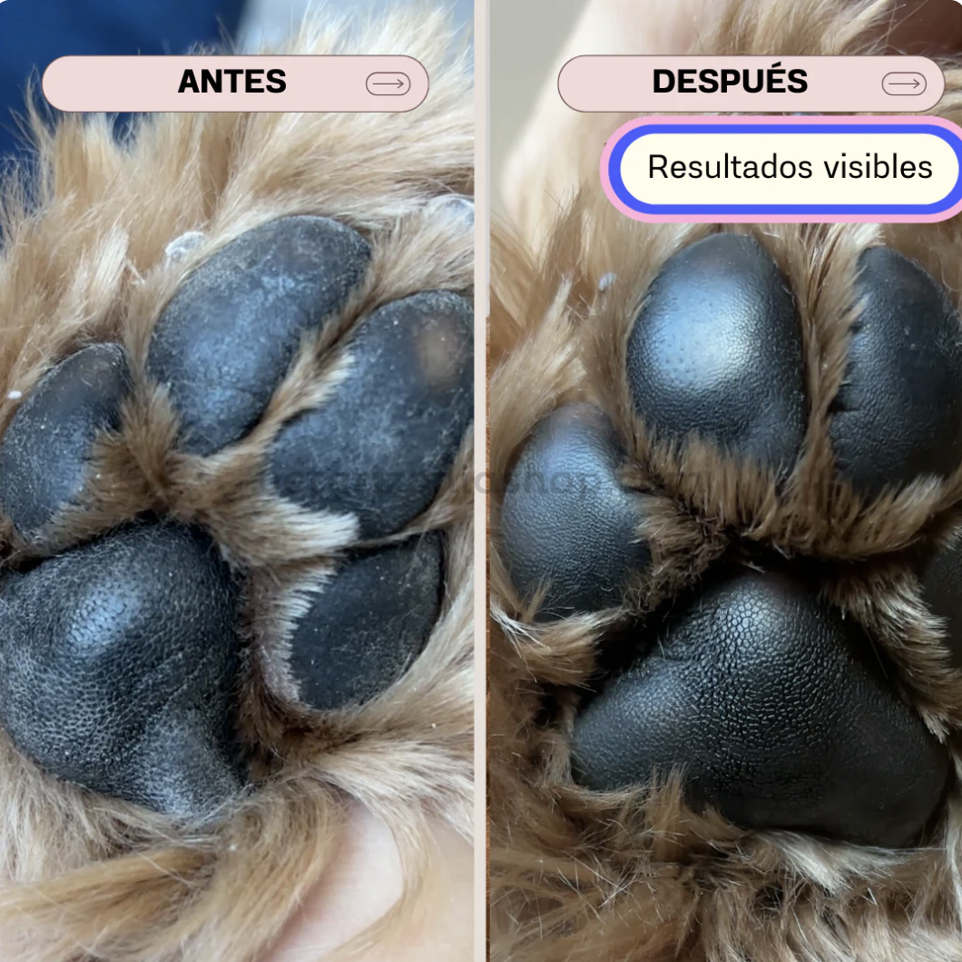 Crema regeneradora almohadillas perros Masco Beauty