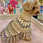 Poncho para Perros Alpaca Woolly Winter