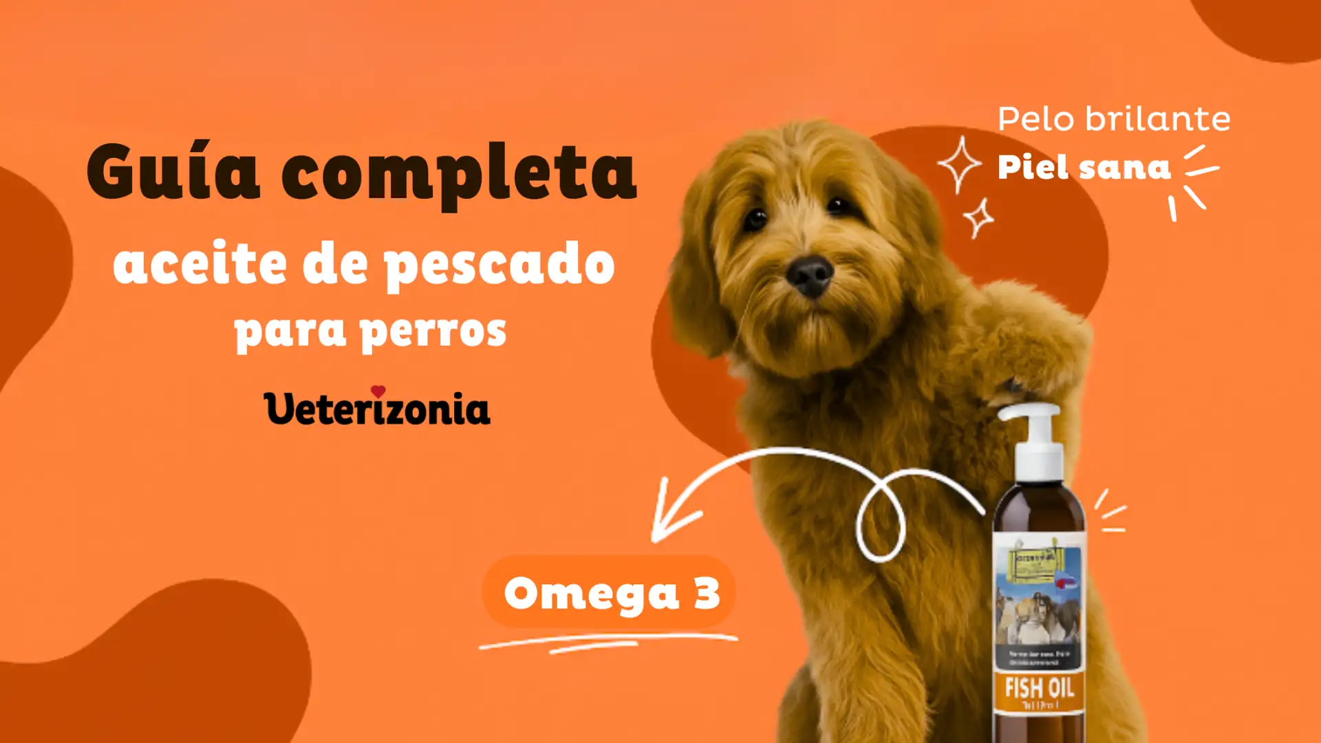 Perro sano tomando suplemento de aceite de pescado rico en Omega 3