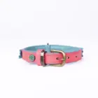 Collar para perro Indian Summer cómodo y seguro para paseos diarios
