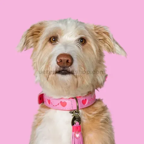 Collar para perro Sweety rosa con corazones fabricado en cuero genuino resistente