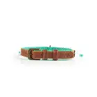 Collar para perro Turquoise Paddy Lee