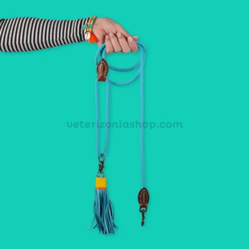 Detalle de la correa para perros Classic Rover azul con diseño trenzado