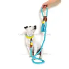 Correa para perros Classic Rover azul de 155 cm x 1 cm ideal para paseos urbanos