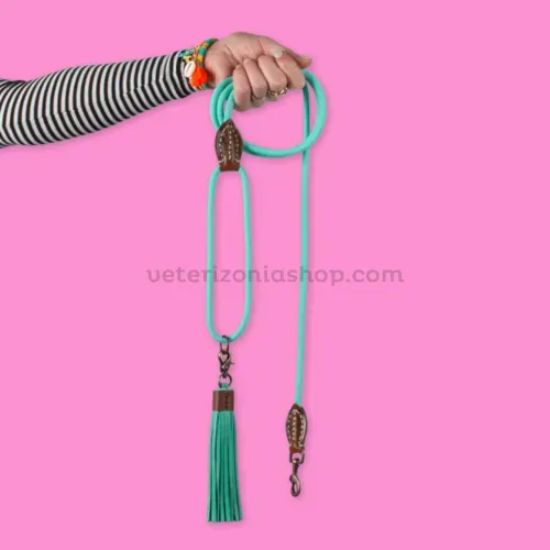 Correa para perro Jade Turquoise talla S 155 cm en cuero artesanal