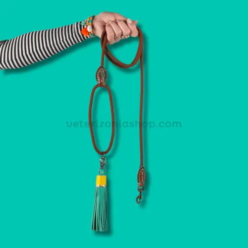 Detalle de la correa para perros Classic Rover marrón con diseño trenzado