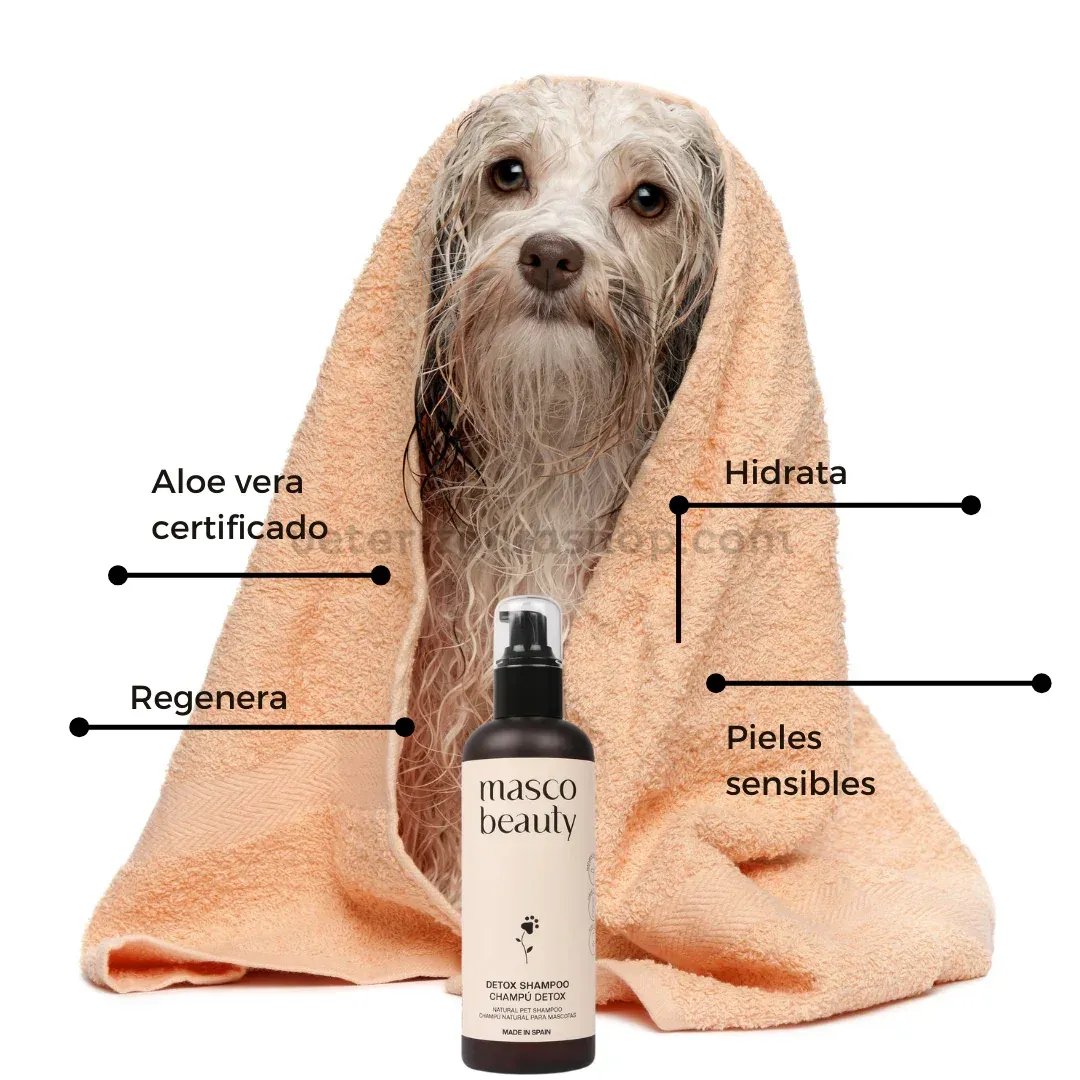 Perro con piel sensible envuelto en toalla después de usar el champú natural Masco Beauty con aloe vera.