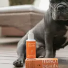 Sérum multivitaminas para perros y gatos Masco Beauty – cuidado piel y pelaje