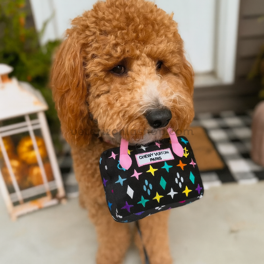 perro pequeño sosteniendo el juguete de lujo Chewy Vuiton Black Monogram de Veterizoniashop