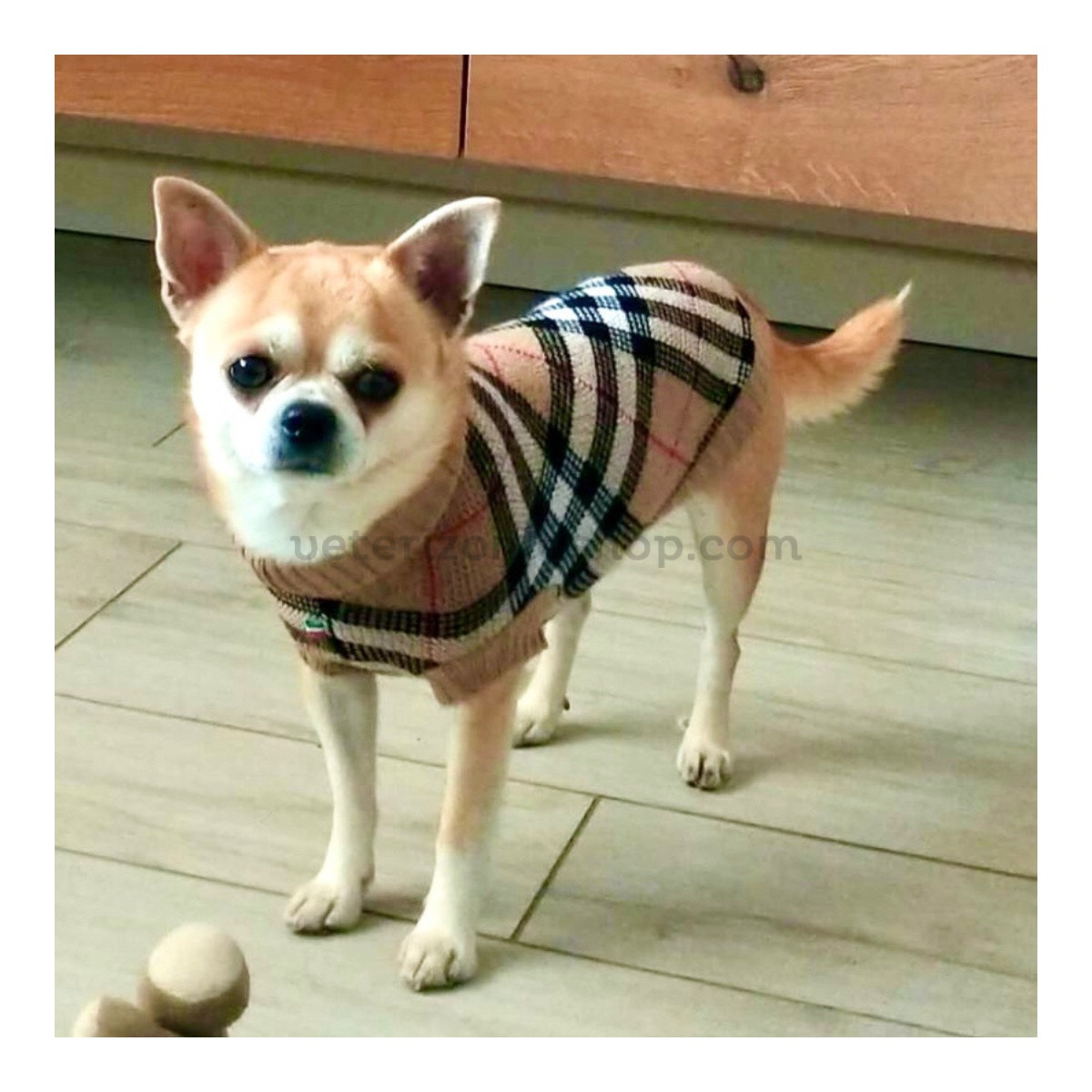 Perro pequeño con Jersey Tartan con Cuello Alto ideal para razas toy