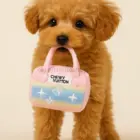 Perrito toy con mini bolso Chewy Vuiton Pink Ombre