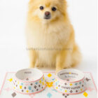 Set comederos Checker Chewy Vuiton Small con mantel y perrito