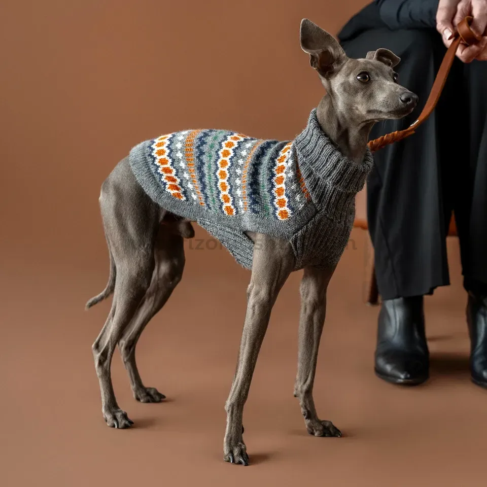 Galgo italiano usando el Grey Hexagon Alpaca Dog Sweater, mostrando el ajuste y el diseño artesanal en tonos grises y naranjas.
