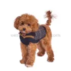 Caniche toy con jersey de alpaca azul preppy, cálido e hipoalergénico, ideal para invierno.