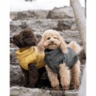 caniches toy con plumíferos de invierno en exterior, abrigo rojo para perro