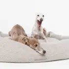 cama para perros borreguito greige con galgos descansando diseño Nuck Verona