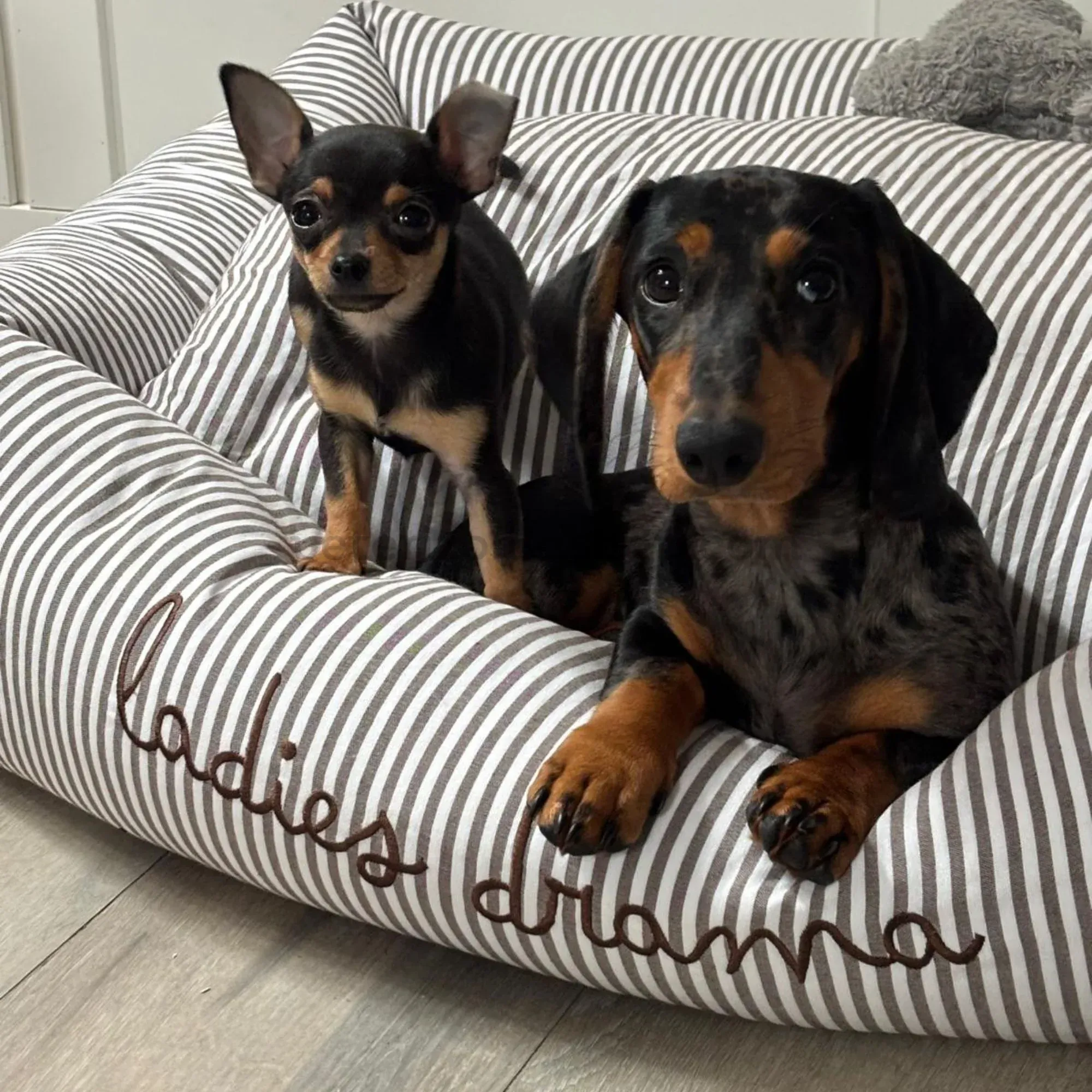cama para perro desenfundable rayas grises con nombre bordado personalizado