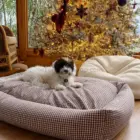 cama para perro desenfundable vichy marrón chocolate en salón