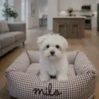 cama para perro desenfundable vichy marrón chocolate personalizada para perro pequeño