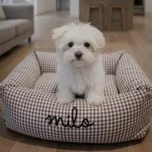 cama para perro desenfundable vichy marrón chocolate personalizada para perro pequeño