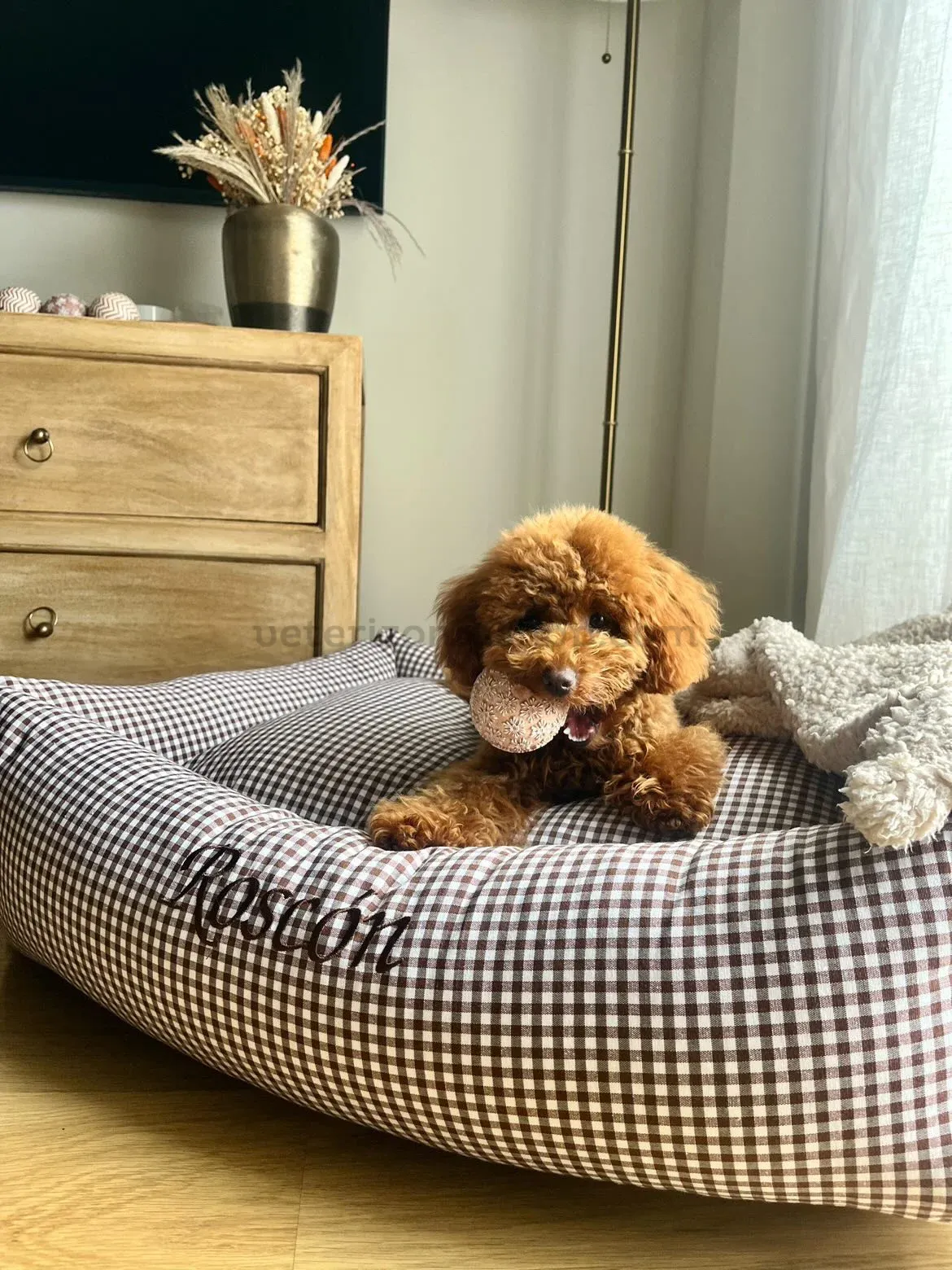 cama para perro desenfundable vichy marrón chocolate personalizada con nombre