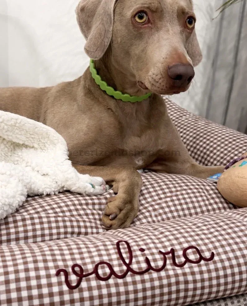 cama para perro desenfundable vichy marrón chocolate con cojín acolchado