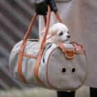 bolso transportin perro toy gris avion cabina