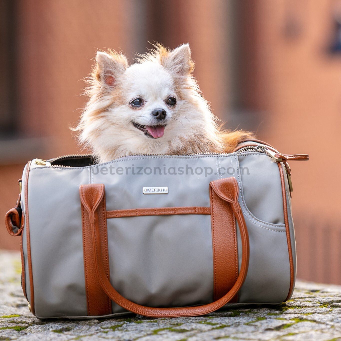 bolso transportin perro pequeño viaje avion tren