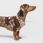 Arnés ergonómico para perro pequeño cómodo y ligero