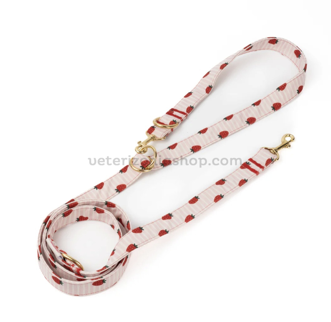 correa perro fresas rosa detalle enganche metal doble posicion