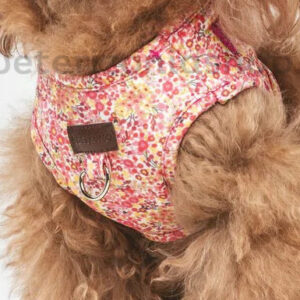 Caniche toy con arnés floral rosa ajustable para perro