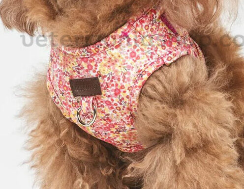 Arnés Perro Floral Rosa Ajustable Premium | Veterizonia Caniche toy con arnés floral rosa ajustable para perro